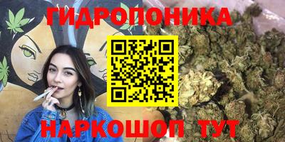бошки Ливны