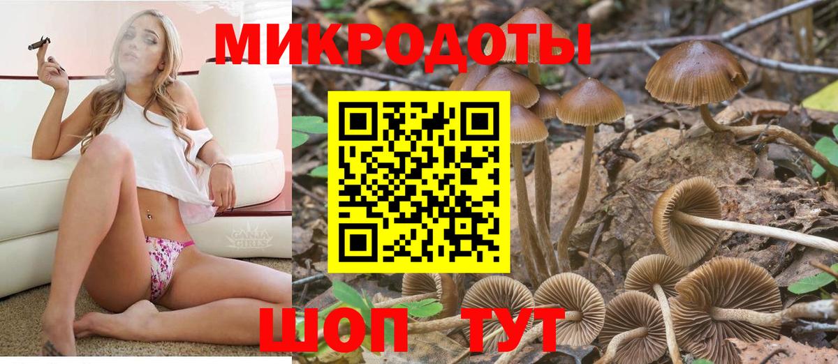 Галлюциногенные грибы мухоморы  где найти наркотики  Псилоцибиновые грибы мухоморы  Сургут  Вход с VPN 