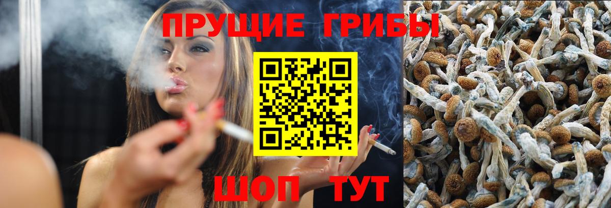 Галлюциногенные грибы GOLDEN TEACHER Сургут